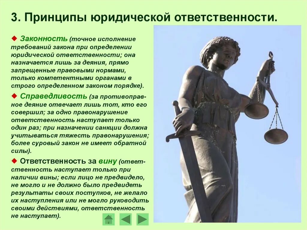 Принцип наличия вина юридической ответственности. Исполнение юридической обязанности это. Принципы ответственности при наличии вины. Принципы гражданской ответственность законность.