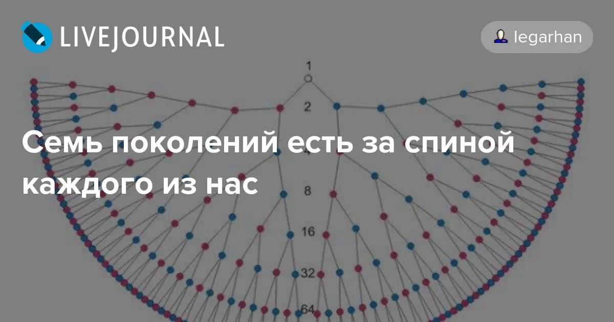 Схема рода человека. Схема семи поколений рода. Родовая генограмма 7 поколений. Сила рода 7 поколений. Крылья рода 7 поколений.