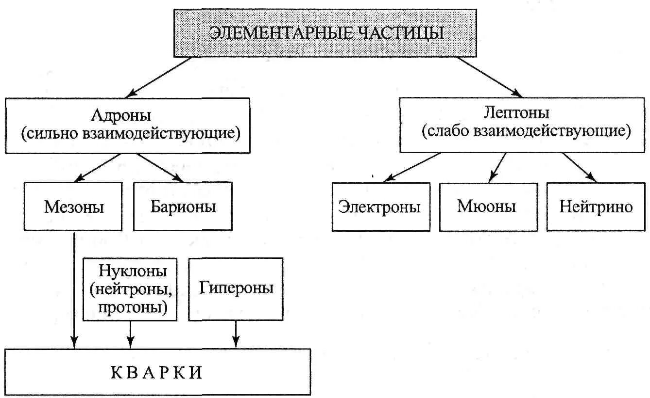 Элементарные частицы классификация элементарных частиц. Классификация элементарных частиц физика. Элементарные частицы их классификация и свойства. Классификация элементарных частиц схема. Фундаментальная элементарная частица