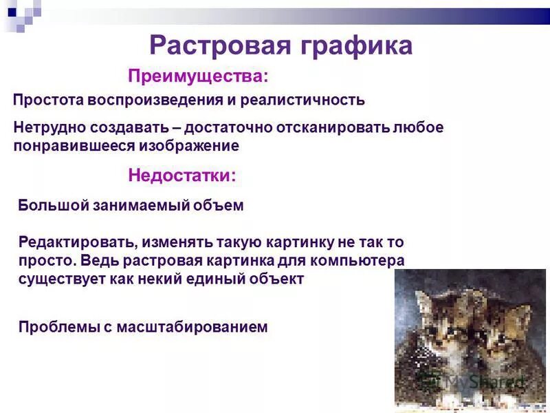 Растровые изображения формируются из. Растровые изображения формируются из
