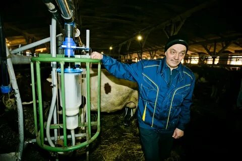 Фермеры оренбург