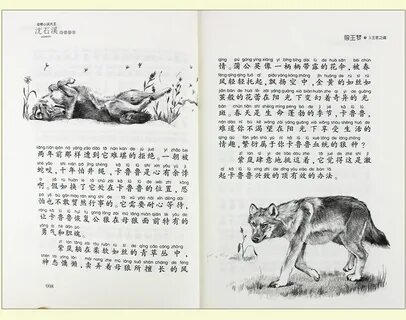 Китайская книга читать