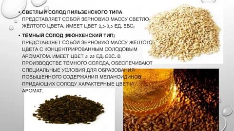 Солод песни