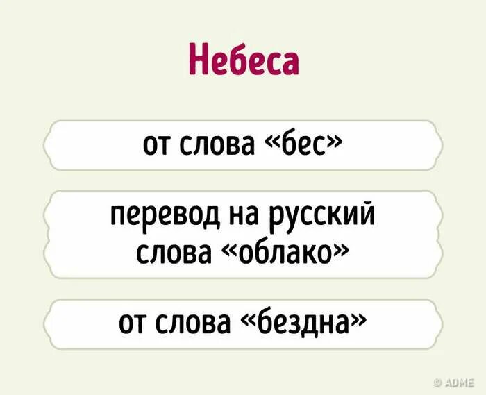 Как переводится слово бес. Слово себя от слова бес. Слова на ви. Знаем русский.