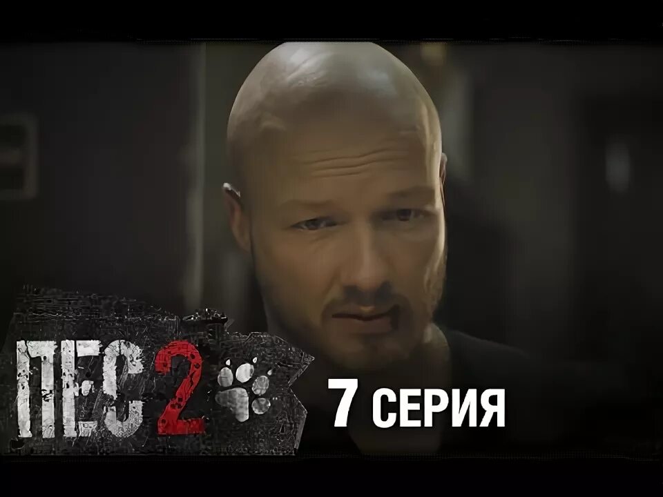 Сериал ПЕС - 2 сезон - 21-24 серия - все серии подряд - YouTube
