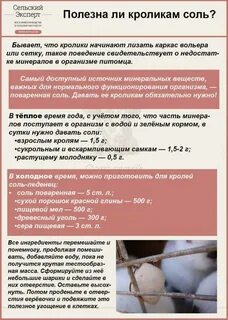 Почему кроликам нельзя давать