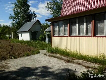 Зори сургута