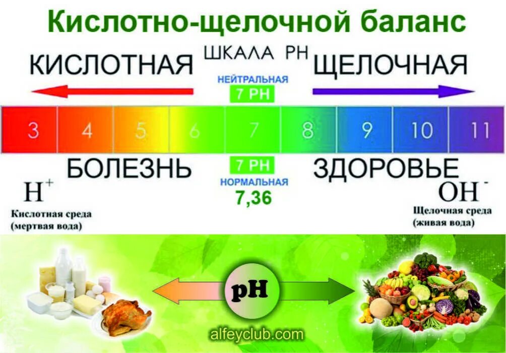 Кислотно щелочной баланс PH-2. Кислотно-щелочной баланс шкала продуктов. Таблица кислотно щелочной среды в организме. Шкала кислотно щелочного баланса питание. Щелочная и кислая вода