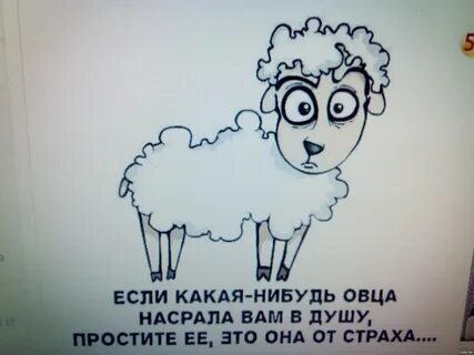 Что означает выражение барашек в бумажке