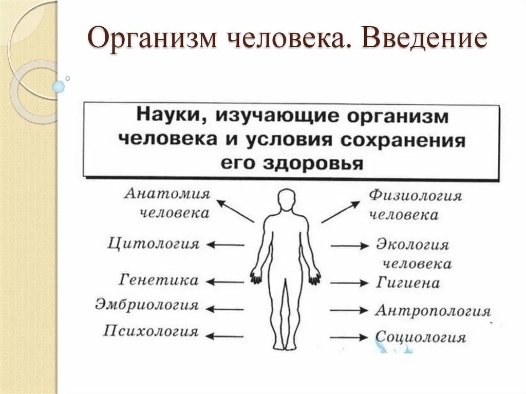 Введение в тела человека. Науки изучающие организм человека. Внедрение в организм человека. Качества тела человека.