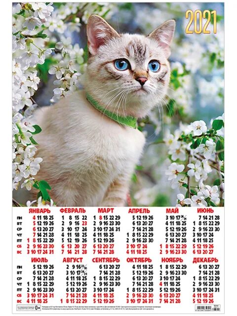 Кошка 2021. Календарь настенный кошки. Календарь настенный кошки 2021. Календарь листовой с кошками.