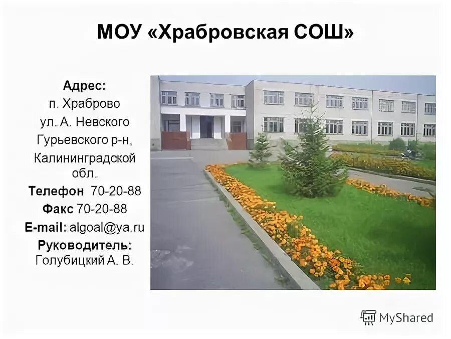 Электронный адрес школы 15. Адреса школ или адресы. Адреса школ или адресы. Особые адреса. Адрес школы.