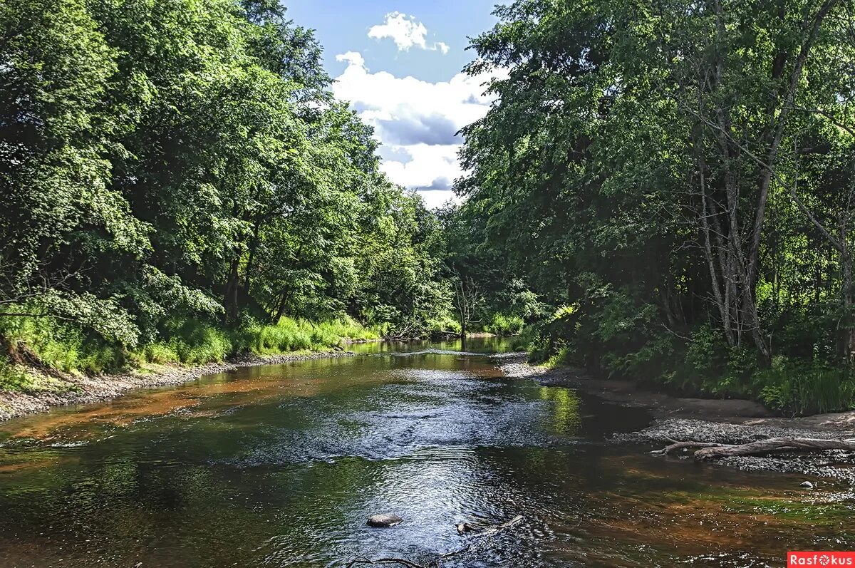 река лопасня. река великая броды. река великая броды. река холохольня старицкий район. волженец псков.