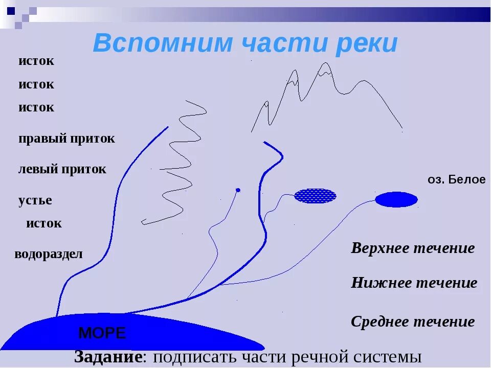 Направление течения и давление воды рыбы. Схема реки Исток русло Устье. Схема реки Исток приток Устье. Части реки схема. Схема Речной системы.