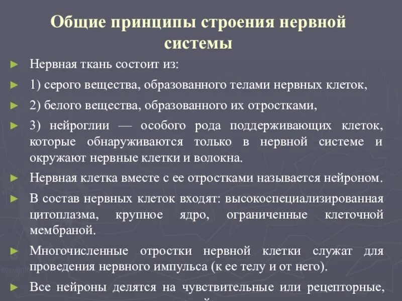 Примеры особенностей нервной системы Нервная система презентация онлайн
