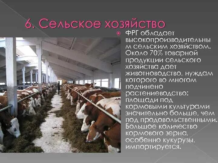 Какое направление в сельском хозяйстве преобладает фрг