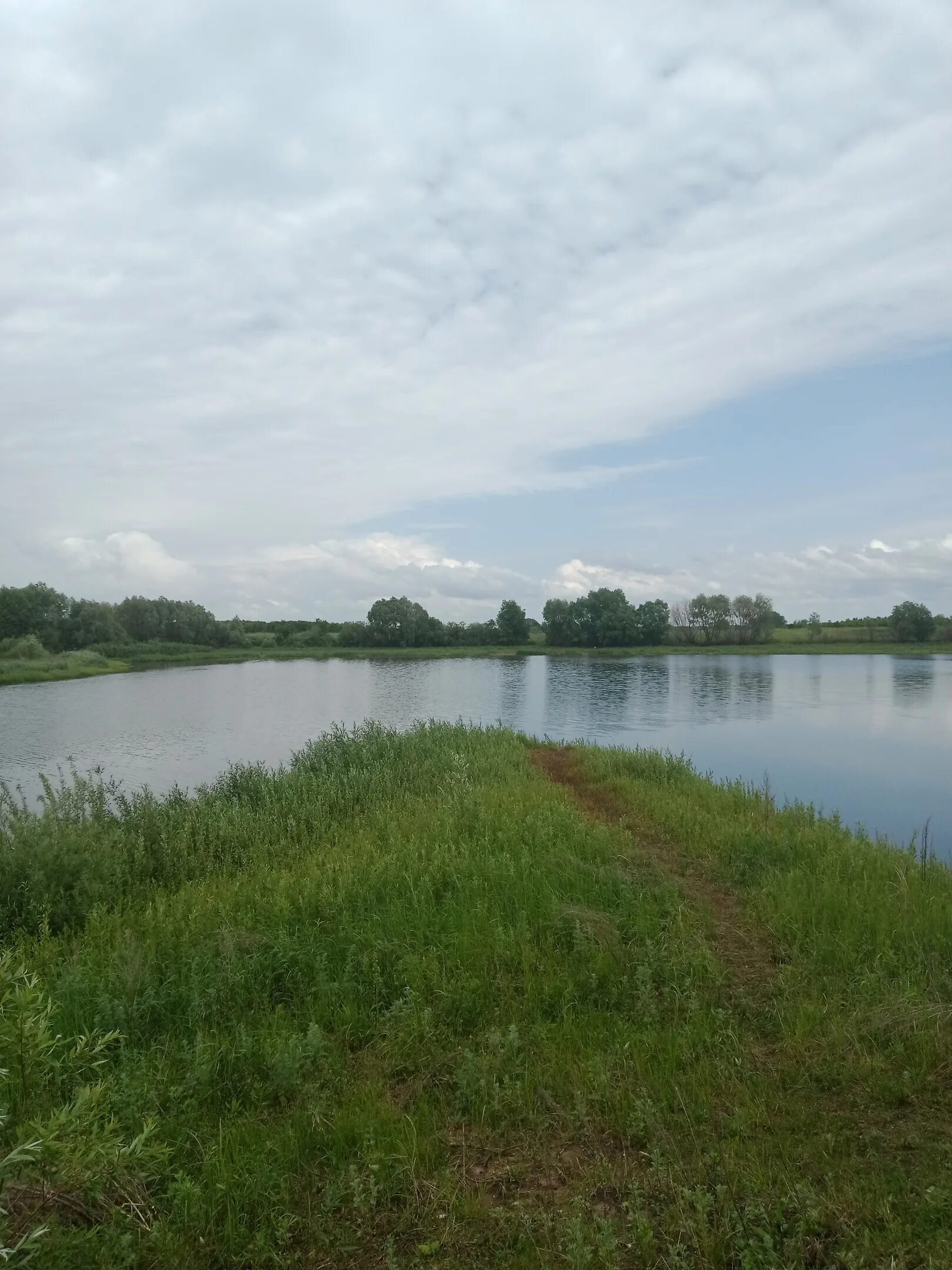 пруд трофимовка пенза. пруд в парке изумрудный барнаул. пруд в новодевяткино. рву 144 пруд. новый пруд.