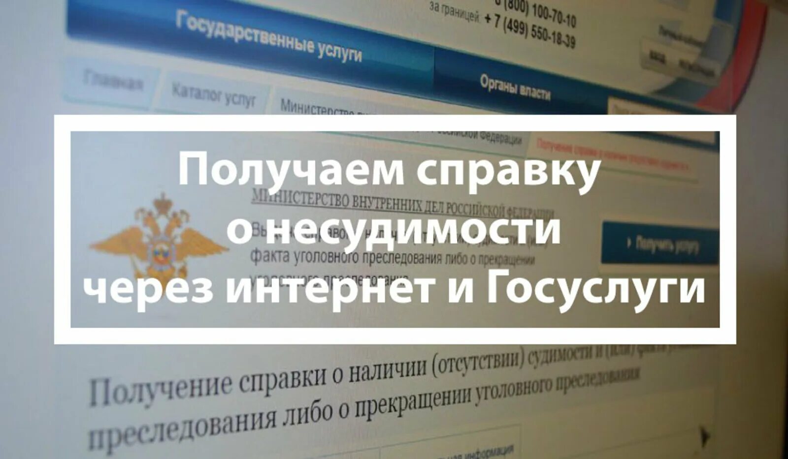 Госуслуги сделать об отсутствии судимости. Справка об отсутствии судимости. справка через госуслуги. справка о несудимости через госуслуги. госуслуги о отсутствии судимости.