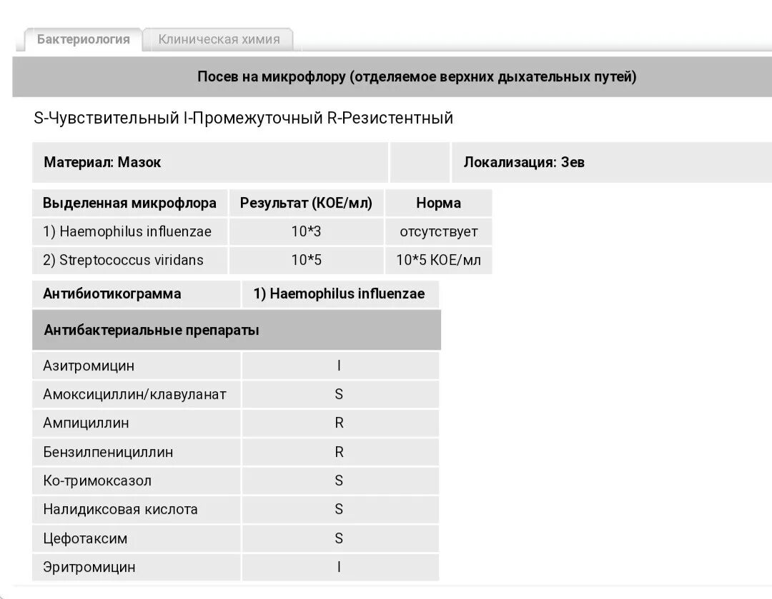 Бак посев на микрофлору и чувствительность. Норма анализа на бакпосев в гинекологии. Расшифровка анализа бак мазка. Посев на микрофлору и чувствительность норма. Бак посев на микрофлору зева норма.