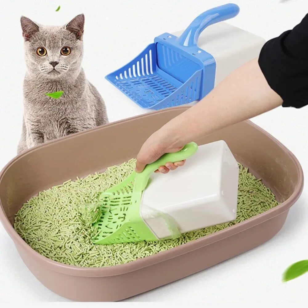 Кэт литтер. Кошачий наполнитель Кэт литтер. Cat Litter наполнитель древесный. Кошачий лоток с наполнителем. Чистил лоток