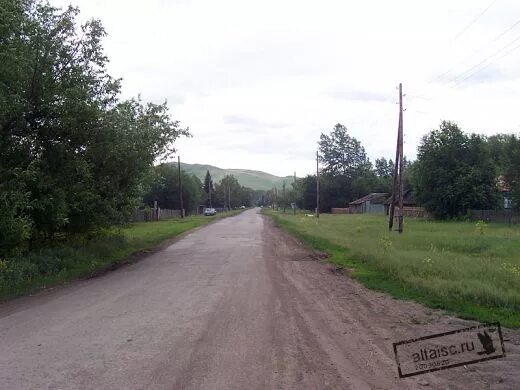 Вторая каменка алтайский край. Деревня Нижнекаменка Алтайский край. Село Нижнекаменка Алтайского района. Нижняя Каменка Алтайский край. Село нижняя Каменка Алтайского района.