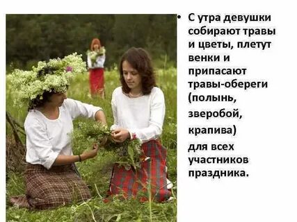 А я травок пособираю