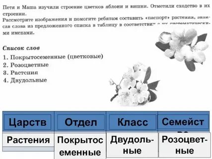 Тест систематика 7 класс биология с ответами