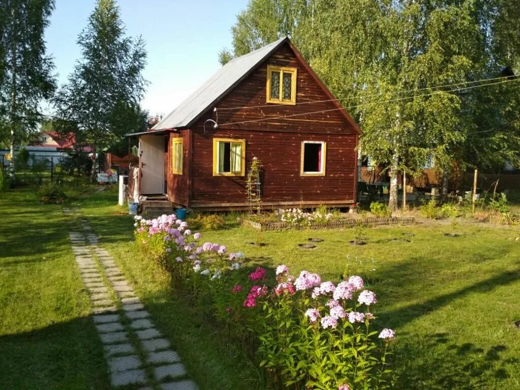 Дальнее участки купить. Ветеран ЦАО Ногинский район. СНТ звезда Ногинский район дача.