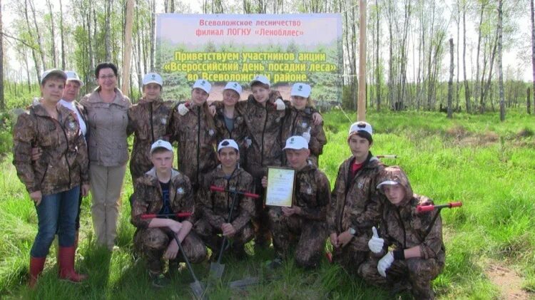 Ленинградское областное государственное казенное учреждение. Лесничества Ленинградской области. ЛОГКУ Ленобллес. Подпорожское лесничество.