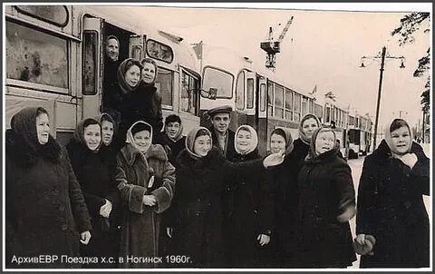 Автобус ликино дрезна