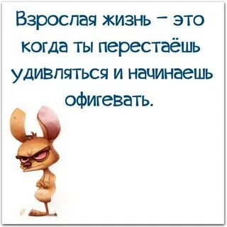 Взрослая жизнь статусы