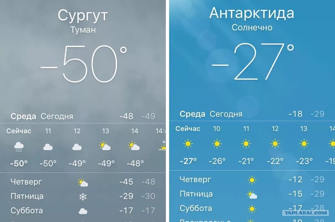 Сегодня ночью сколько мороз будет. Сургут климат. Сургут -50 градусов. Максимальная температура в Сургуте зимой. Климат Сургута по месяцам.