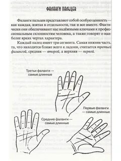 Исследование рук