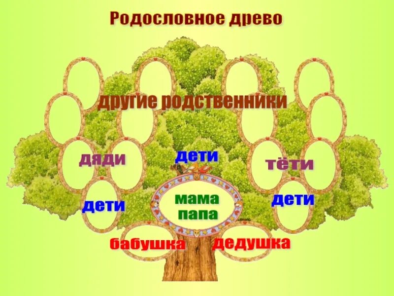 Род слова семья. Родословная семьи. Родословная моей семьи. Моя семья моя родословная. Генеалогическое дерево 2 класс.