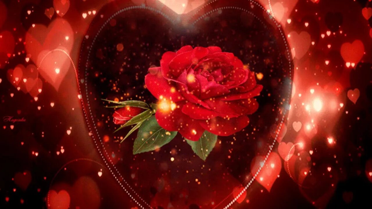 Animacia. Переливающиеся сердечки. Розы сердечком. Мерцающее сердце с цветочком. Мигающее сердце.