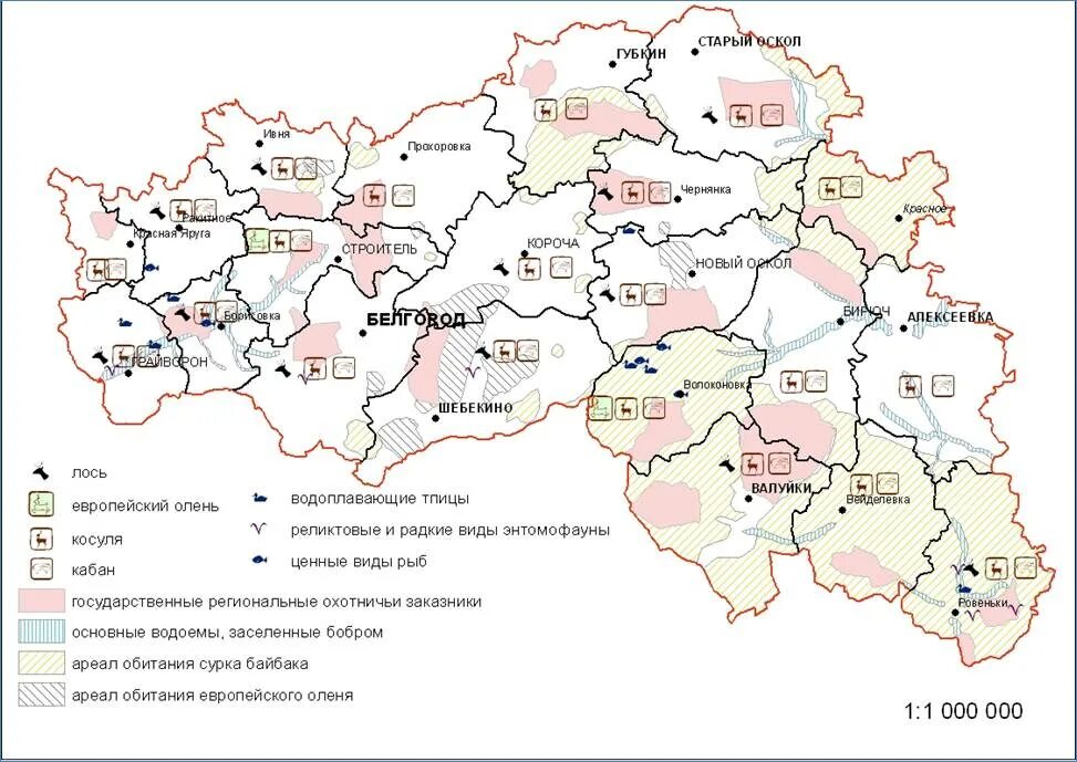 Растительный мир Белгородской области карта. Карта растительности Белгородской области. Карта животный мир Белгородской области. Карта России 2022 Белгородская область.