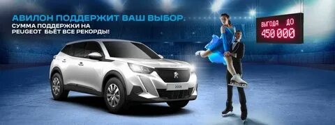 Сумма поддержки