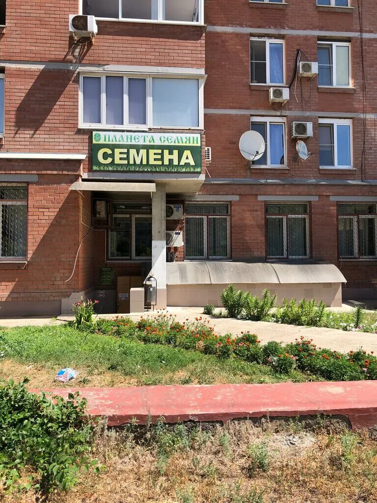 Самый ближний магазин семена. Планета семян волгоград. Магазин семян вывеска. Планета семян волгоград. Магазин семян в волгограде.