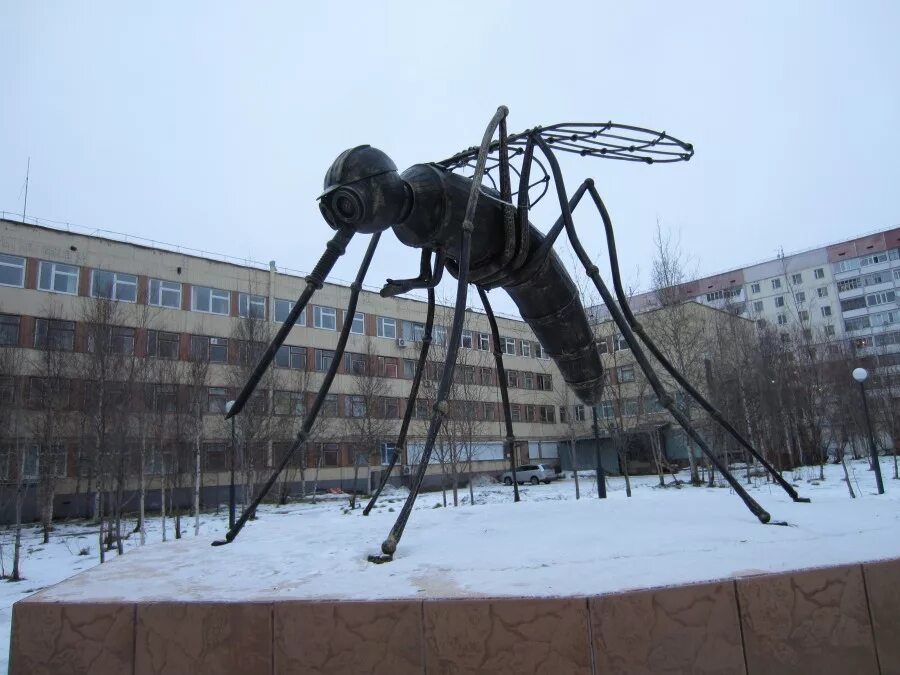 Сайт г усинска. Усинск Республика Коми. Население города Усинск Республики Коми. Усинск площадь города. Памятник спутника Усинск.