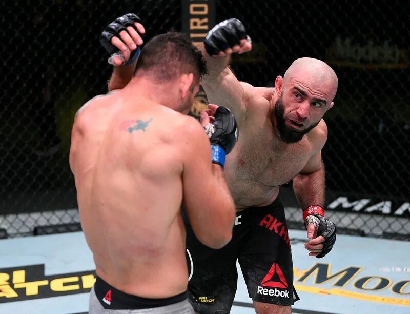 Обзор боев. Бой емельяненко и лысый черный. Bfc mma. Блахович ракич. Chikadze.