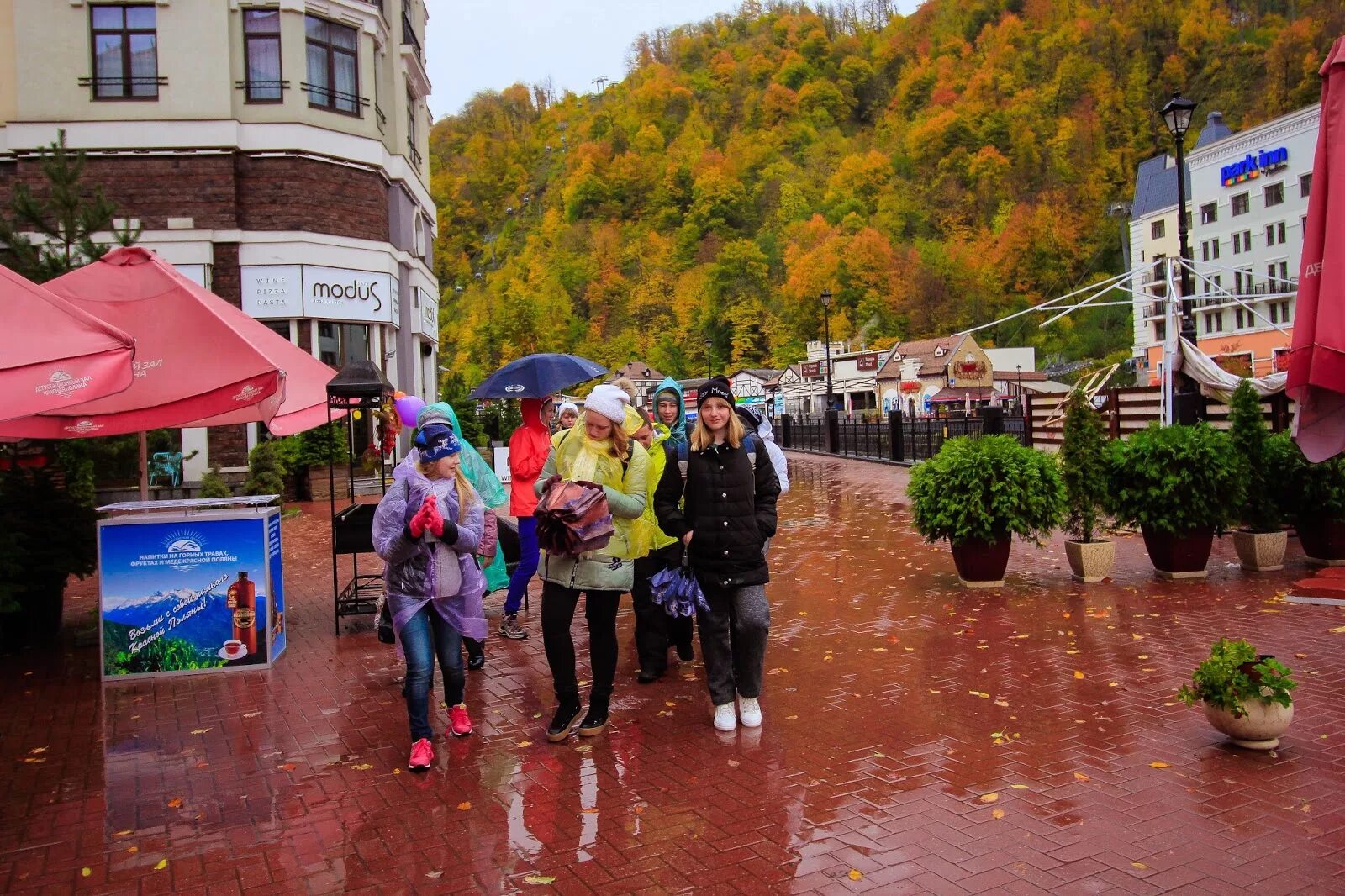 Осенние каникулы в Сочи. Осенние каникулы в Турции. Каникулы в Сочи фото. Сочи на осенние каникулы фото. Весенние каникулы в сочи