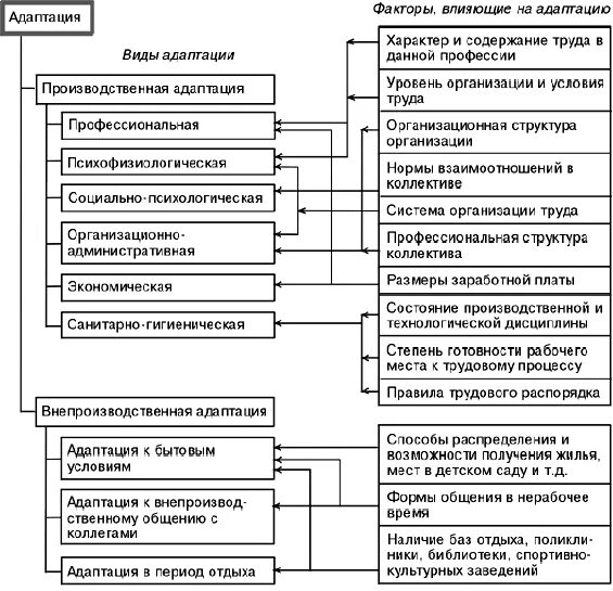Адаптация организации виды. Виды адаптации и факторы на нее влияющие. Виды адаптации персонала. Классификация видов адаптации персонала в организации. Этапы адаптации персонала таблица.