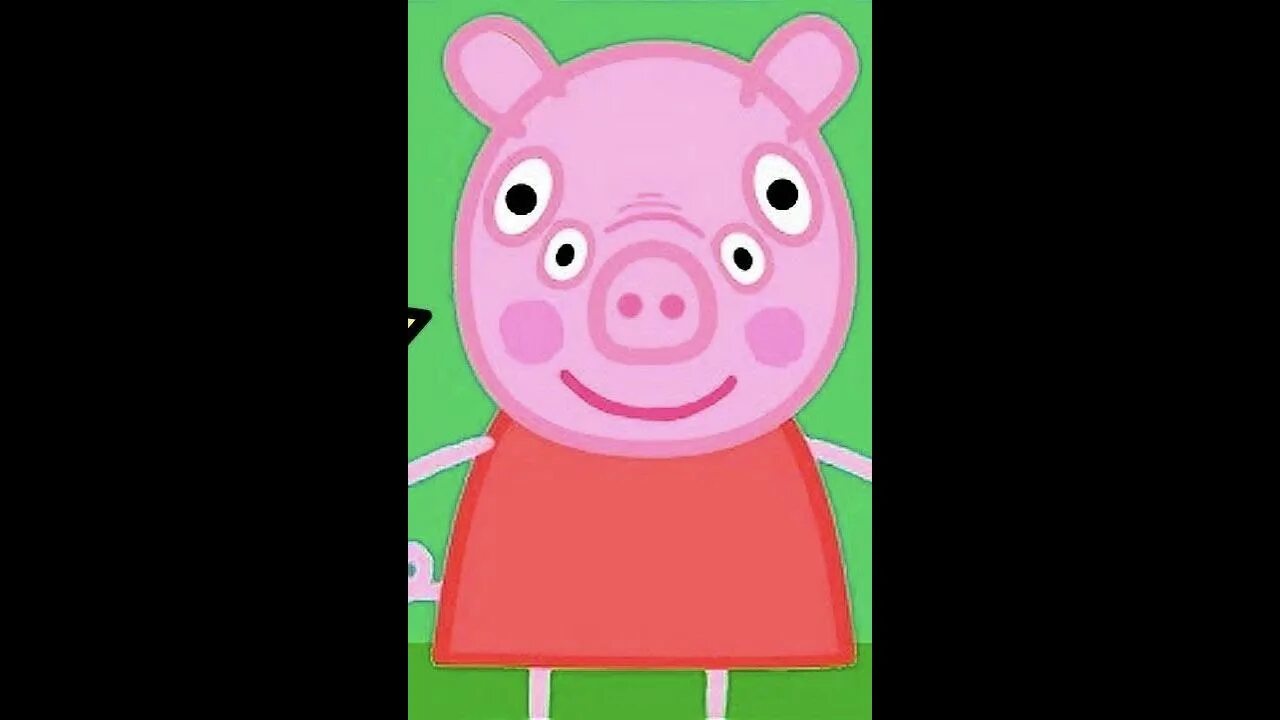 Свинка вышла. Свинка Пеппа. Фотографию настоящей свинки Пеппы. Свинка Пеппа и её семья. Настоящая семья свинки Пеппы.