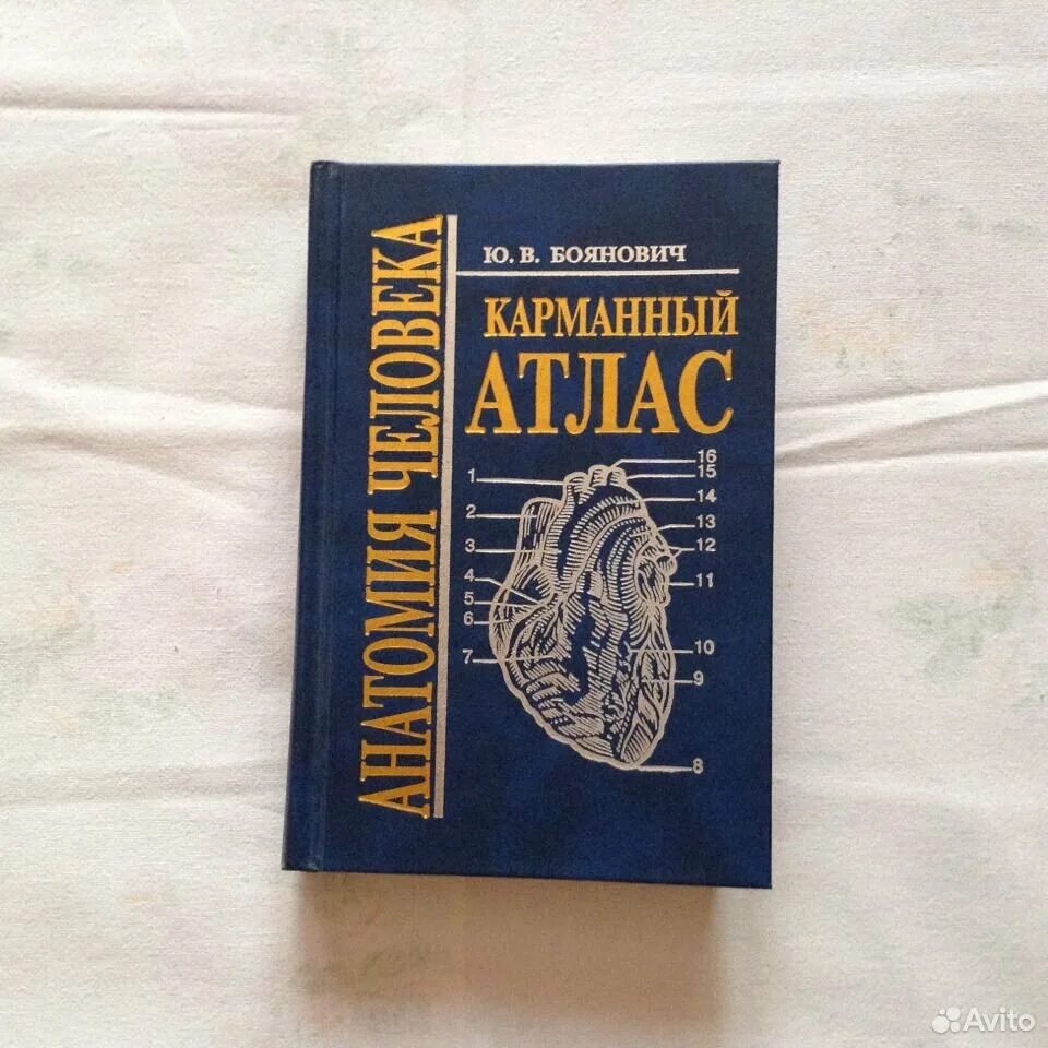 С анатомическим карманом