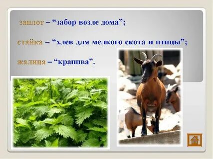 Около изгороди продолжить