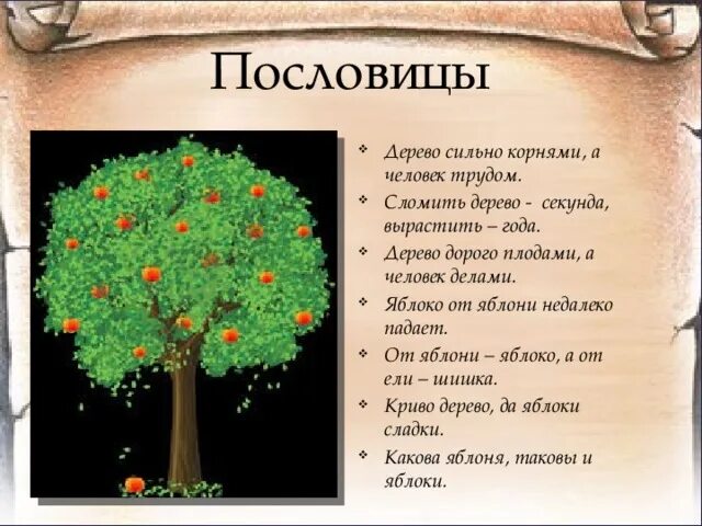 Кроме фруктовых деревьев составить предложение. Поговорки про деревья. Пословицы о деревьях. Пословицы и поговорки о деревьях. Пословицы и загадки о деревьях.