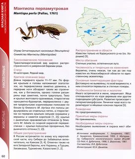 Книга новосибирская область