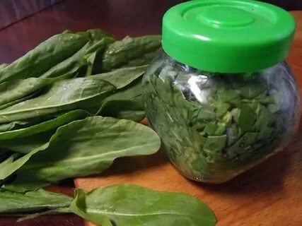 Щавель закатать в банки на зиму как