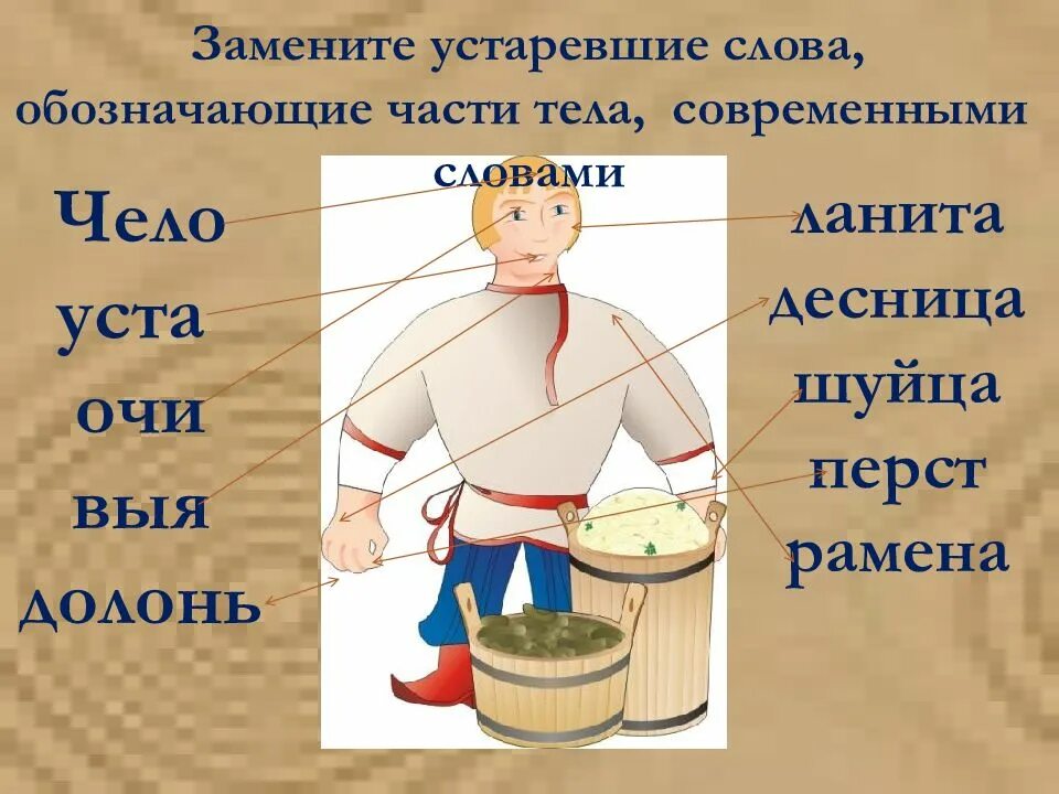 Как заменить слово современный. Устаревшие слова. Устаревшие названия. Старинные названия частей тела. Устаревшие части тела.