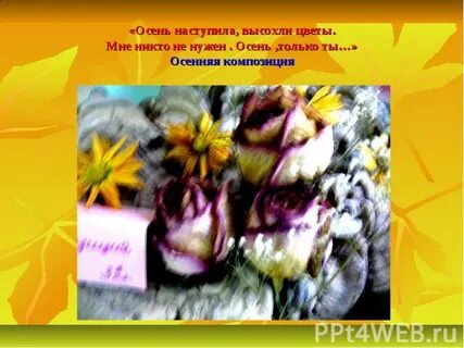Осень наступила высохла трава